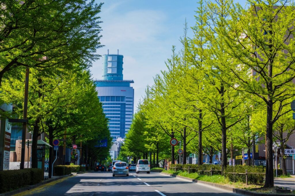 新緑の定禅寺通の画像